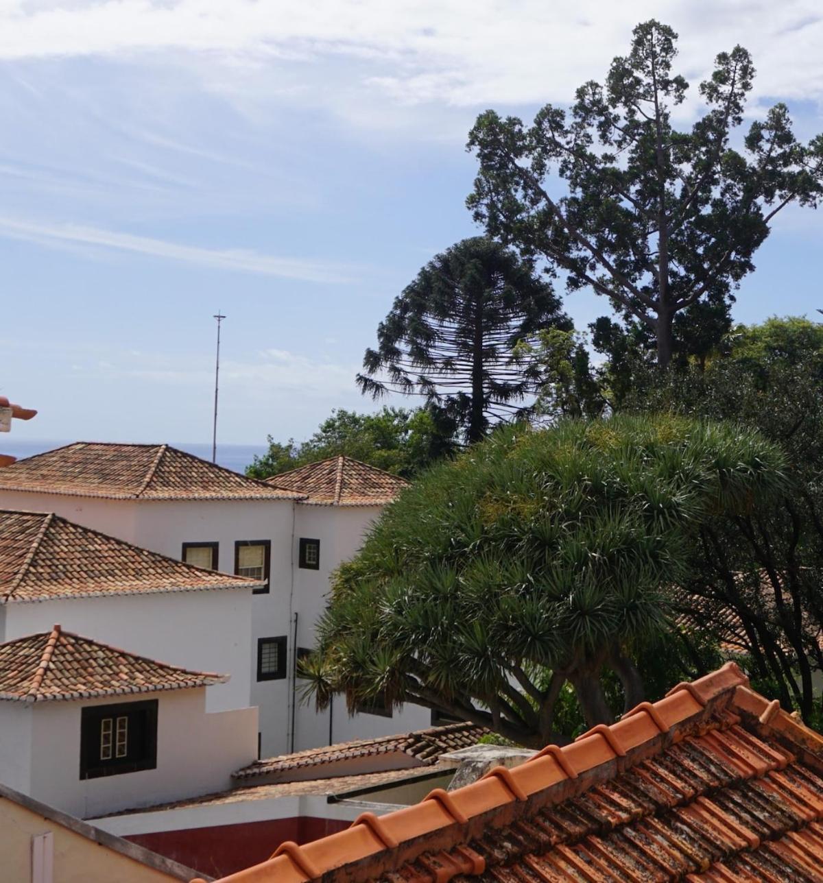 Alamos Charming - Family *
